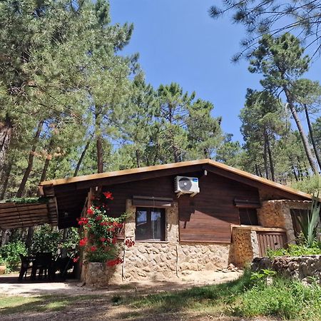 Cabana En Plena Naturaleza Parque Natural Rio Mundo Riopar Exterior photo