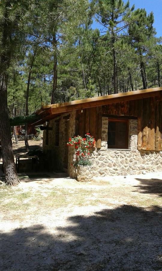 Cabana En Plena Naturaleza Parque Natural Rio Mundo Riopar Exterior photo
